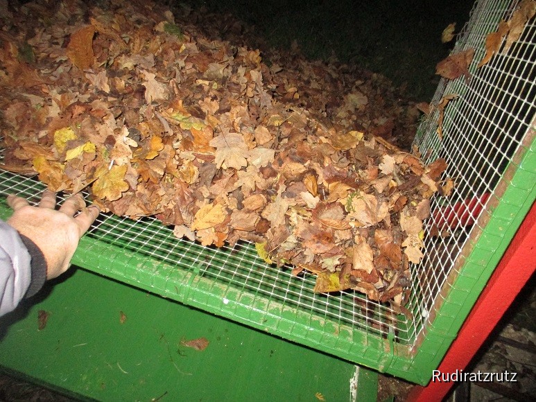 Laubwaggon entladen 1