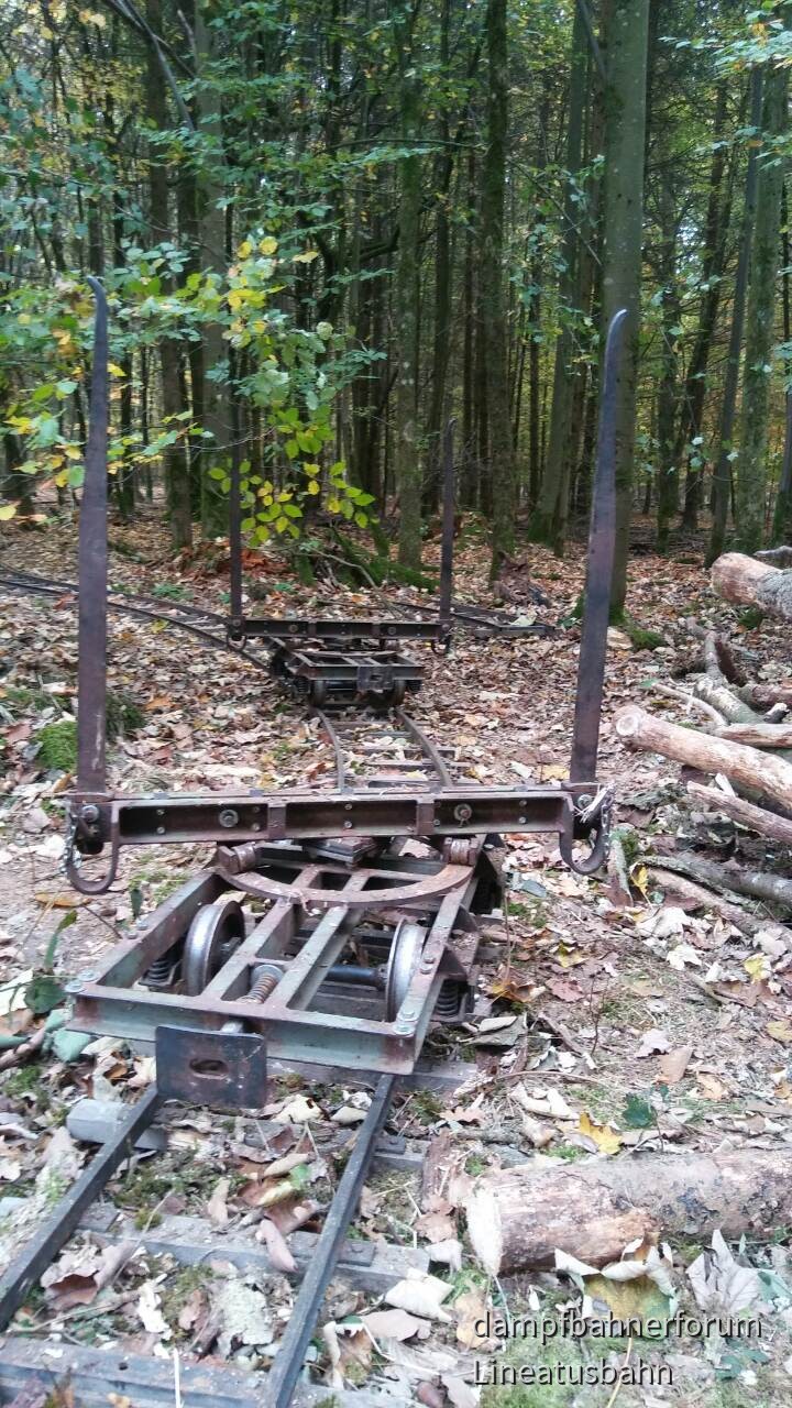 Waldbahneinsatz Nov. 2018