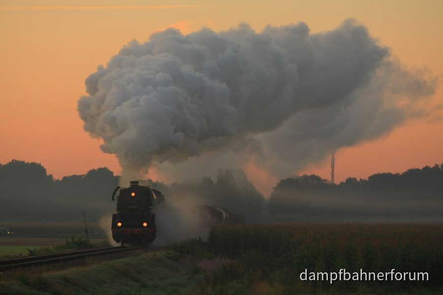 2010-tntzo01