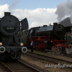 terugnaartoen 2009